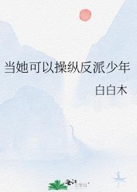 当她可以操纵反派少年TXT
