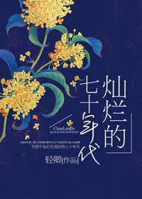 灿烂的七十年代无弹窗 书旗