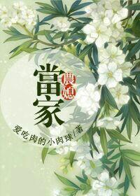 农家媳当家短视频