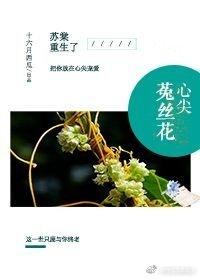 心尖菟丝花格格党