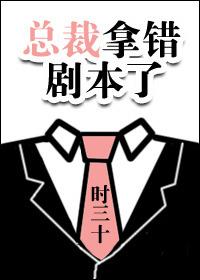 总裁拿错行李箱的电视剧
