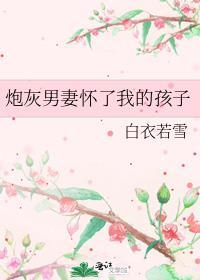 炮灰怀孕男妻