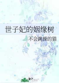 世子妃女主