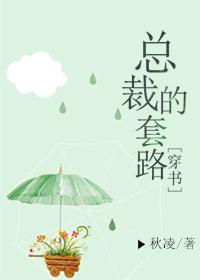 总裁套路全文免费阅读