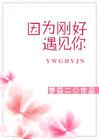 因为刚好遇见你这是什么歌