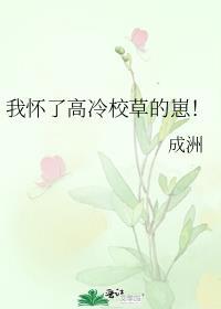 我怀了校草的崽全文免费阅读无弹窗
