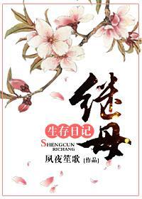继母的日记电视剧