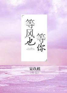 等风也等你上一句是啥