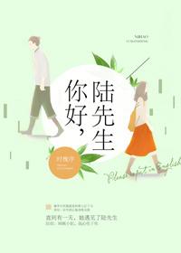 陆先生txt