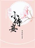 重生小妾的