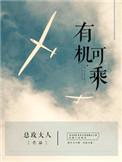 有机可乘什么意思