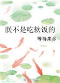 朕不是皇帝全部