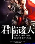 君临诸天顶点