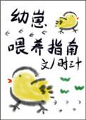 边牧幼崽喂养指南