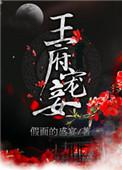 王府宠妾进阶录