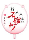 沈大人家的石榴树TXT