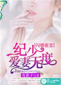 纪少宠妻超上瘾免费阅读