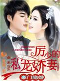 厉少的私宠宝贝完整版
