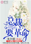 二婚总裁小妻子