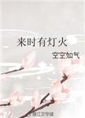 来时有灯火空空如也