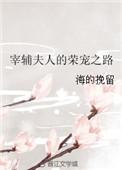 宰辅夫人的荣宠之路完整