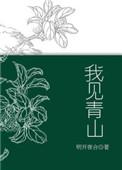 我见青山txt
