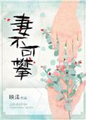 妻不可攀简介