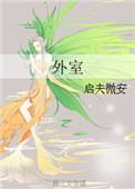 外室启夫微安笔趣阁