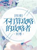 综不打算攻略的攻略者2k