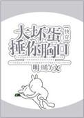 大坏蛋2