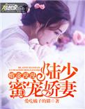 漫漫婚途陆少求放过全文免费阅读
