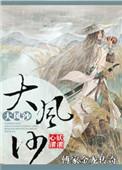 傅家金龙传奇之大风沙好看吗