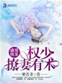 权少追妻盛婚秘爱是宠文吗