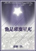 他是璀璨星光无防盗文