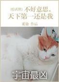 不好意思天下第一还是我 百度