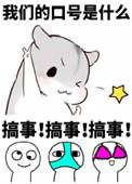全职高手all全联盟