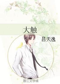 大触讲的什么