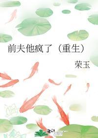 前夫他又追来了简介