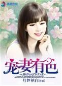 宠妻有道全新正版