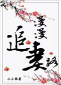 漫漫追妻路安雅兮厉程川