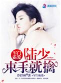 军门霸宠腹黑少帅宠狂妻 !