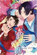 假想婚姻by绊倒铁盒免费阅读