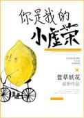你是我的小虚荣免费阅读