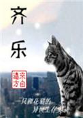 齐乐人和宁舟什么时候在一起