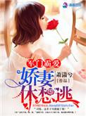 军门霸爱娇妻休想逃萧潇兮