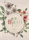 就等你送上门了免费阅读