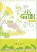 我家小猫咪超凶的txt
