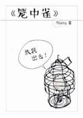 笼中雀by问君几许txt