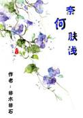 奈何肤浅非木非石书网