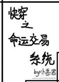 书名叫快穿之命运转盘